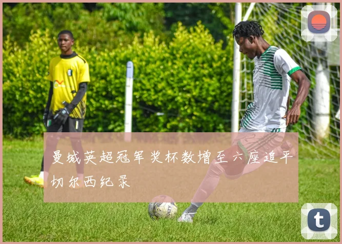 曼城英超冠军奖杯数增至六座追平切尔西纪录