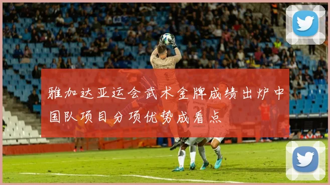 雅加达亚运会武术金牌成绩出炉中国队项目分项优势成看点
