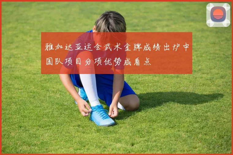 雅加达亚运会武术金牌成绩出炉中国队项目分项优势成看点